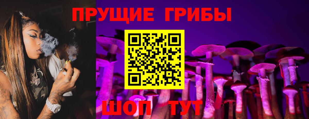 Лысьва  Псилоцибиновые грибы GOLDEN TEACHER  Вход с VPN 
